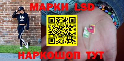 гидропоника Кимры