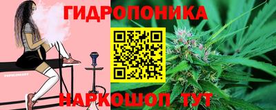 jwh Кинель